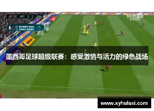墨西哥足球超级联赛:感受激情与活力的绿色战场 墨西哥足球超级联赛:感受激情与活力的绿色战场