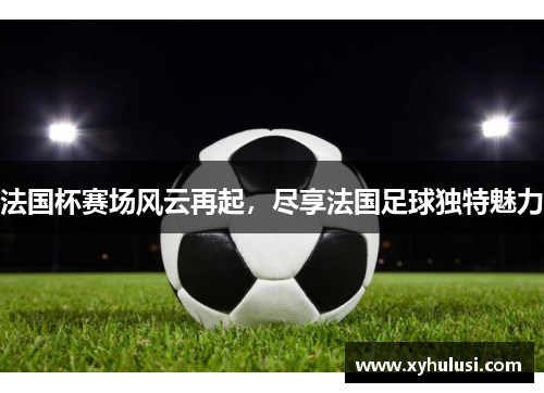 法国杯赛场风云再起,尽享法国足球独特魅力 法国杯赛场风云再起,尽享法国足球独特魅力
