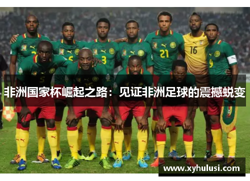非洲国家杯崛起之路:见证非洲足球的震撼蜕变 非洲国家杯崛起之路:见证非洲足球的震撼蜕变